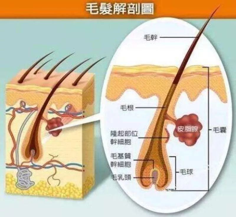 捂汗退烧，致一个月大婴儿死亡：出汗没那么神奇，别被骗了